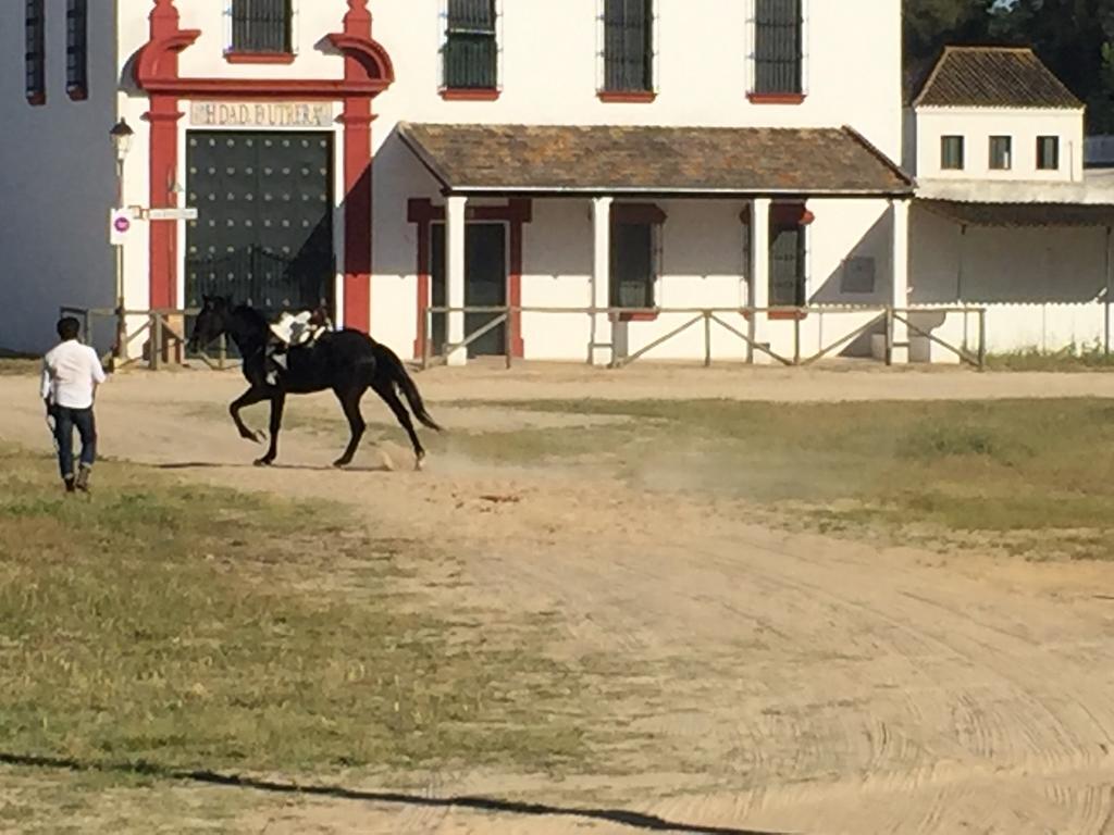 El Rocio Azul Alojamiento Rural Экстерьер фото